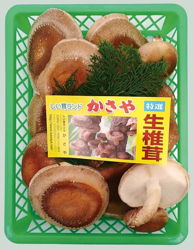 原木 生椎茸 1キロ かご盛り